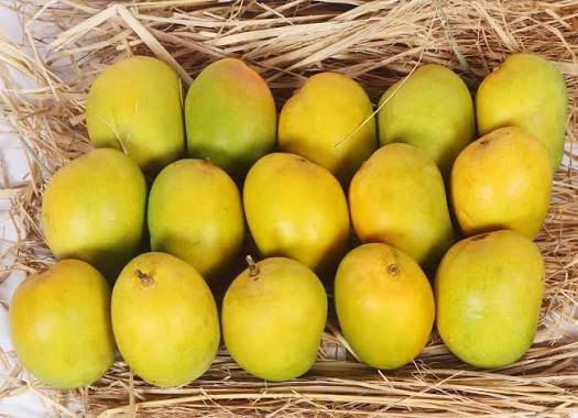 Seasonal Fruits