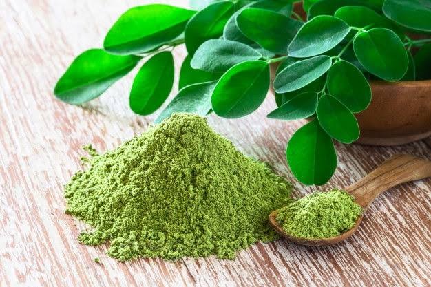 Cold-Pressed Moringa Powder